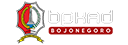 Logo BPKAD